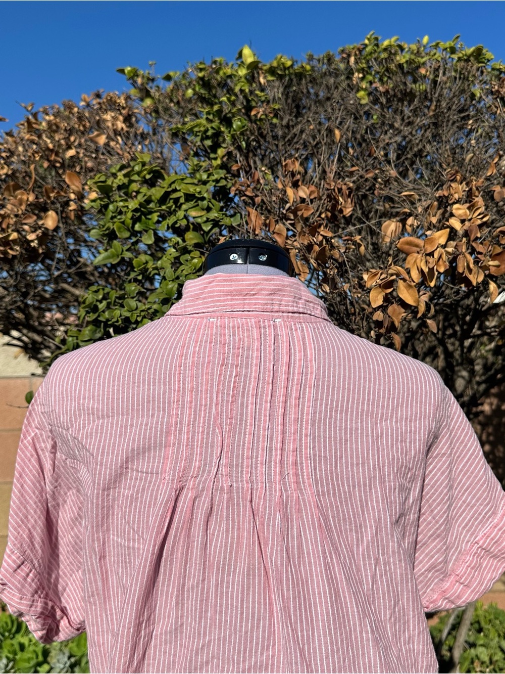 Women's Pink/Red Striped Short-Sleeve Button-Down Shirt Size Large - Picture 8 of 9